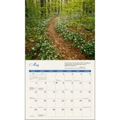 Psalms Deluxe 2024 Wall Calendar -Calendars Sales Store 46143154 1f02 45aa 800f 09957cd1d037