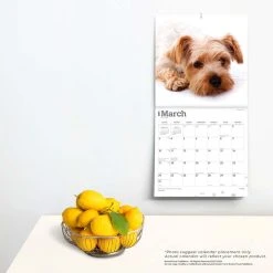 Yorkshire Terriers 2024 Wall Calendar -Calendars Sales Store 4621a980 aaa0 417a 8308 d930182a42d2