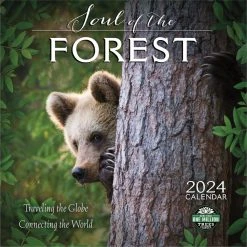 Soul Of The Forest 2024 Wall Calendar