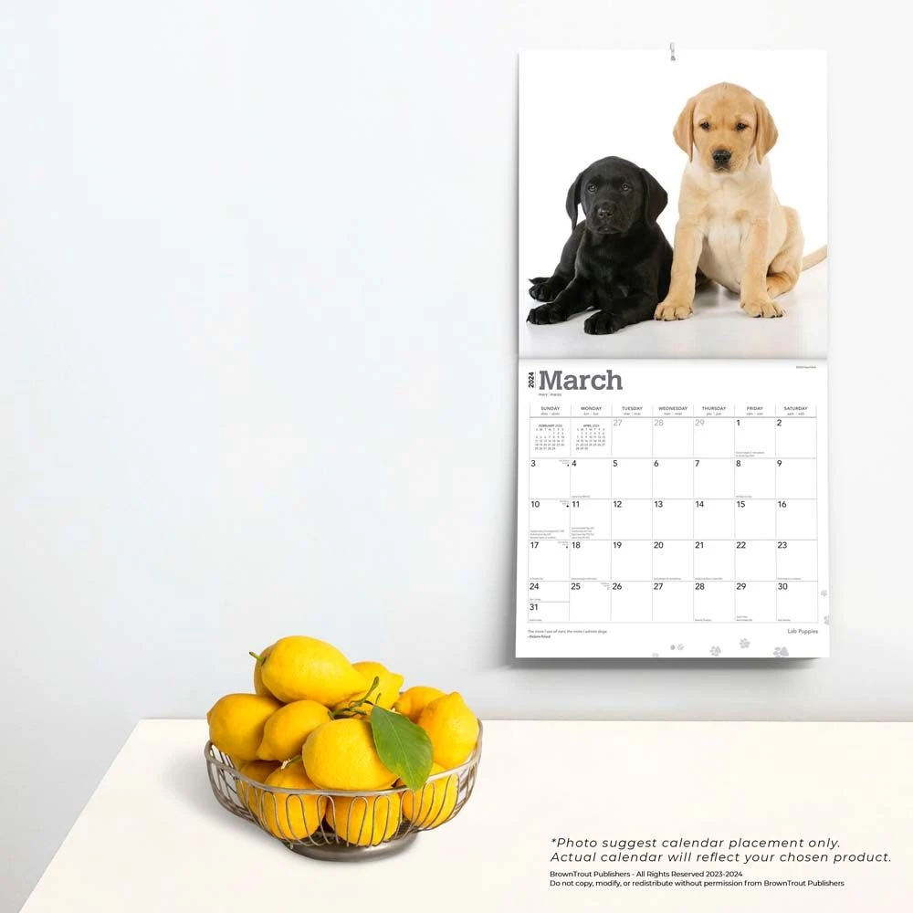 Lab Retriever Puppies 2024 Wall Calendar 6 Lab Retriever Puppies 2024 Wall Calendar - Image 4