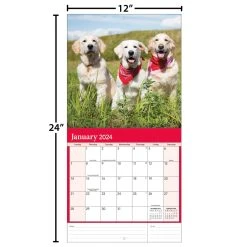 Golden Retrievers Photo 2024 Wall Calendar 20 Golden Retrievers Photo 2024 Wall Calendar -Calendars Sales Store 47520ad0 c764 4ccf 85e7 a6e97035325c