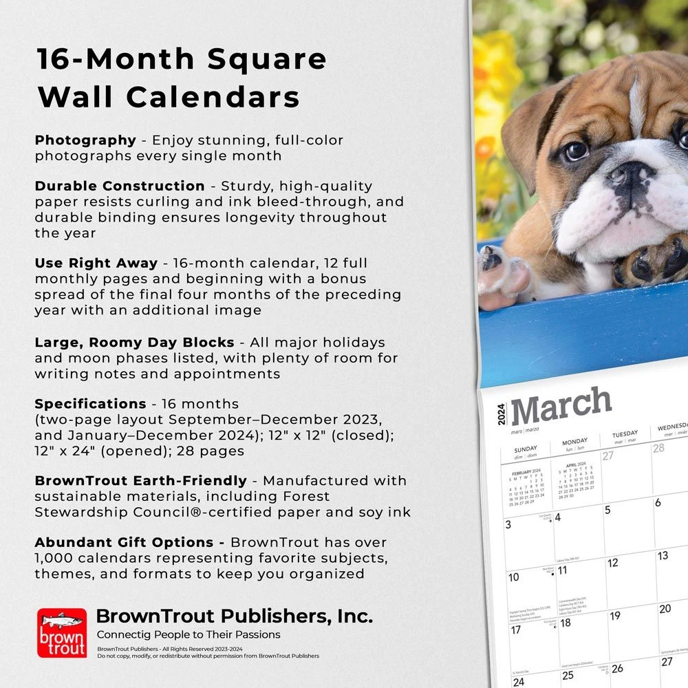 Bulldog Puppies 2024 Wall Calendar 7 Bulldog Puppies 2024 Wall Calendar - Image 5