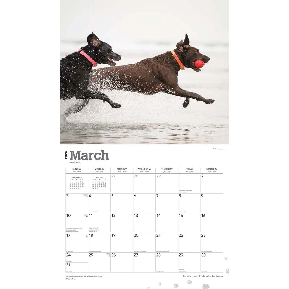 Lab Retriever Deluxe 2024 Wall Calendar 5 Lab Retriever Deluxe 2024 Wall Calendar - Image 3