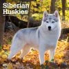 Siberian Huskies 2024 Wall Calendar 2 Siberian Huskies 2024 Wall Calendar -Calendars Sales Store 485e0226 c55f 4b03 849e f7565ba26a3e