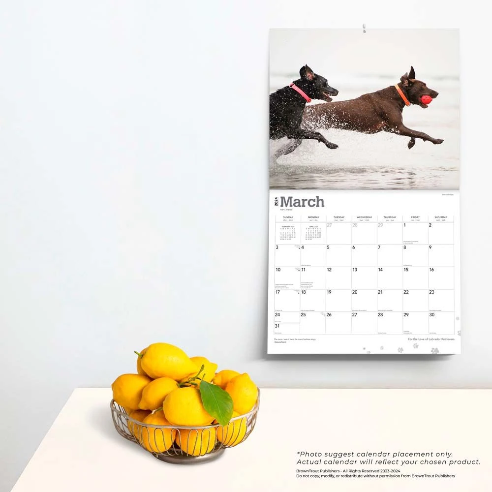 Lab Retriever Deluxe 2024 Wall Calendar 6 Lab Retriever Deluxe 2024 Wall Calendar - Image 4