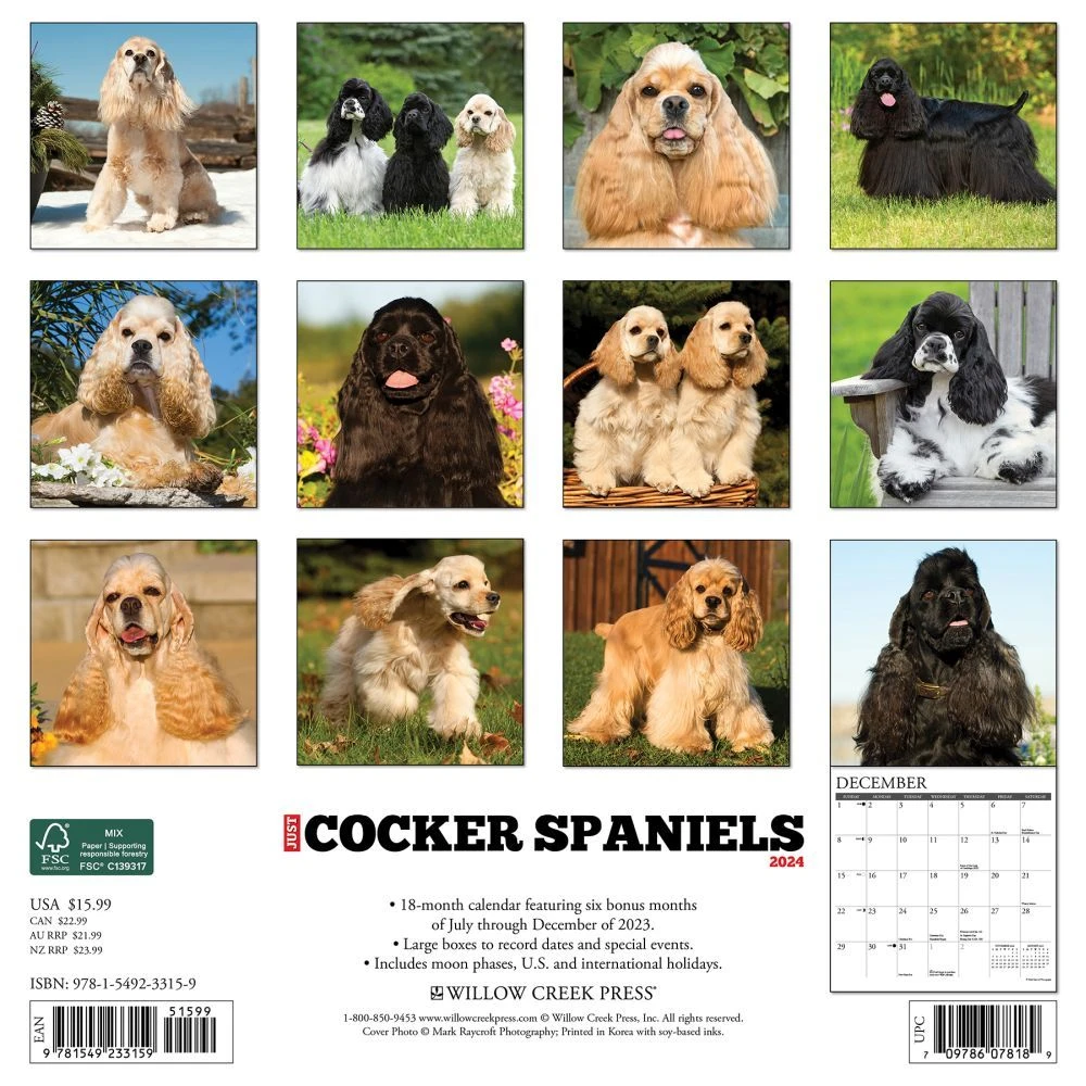 Just Cocker Spaniels 2024 Wall Calendar 4 Just Cocker Spaniels 2024 Wall Calendar - Image 2
