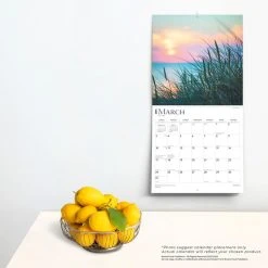 Simplicity 2024 Wall Calendar -Calendars Sales Store 4b931d24 84ca 40b9 8dd4 259c35bfcc42