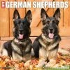 Just German Shepherds 2024 Wall Calendar -Calendars Sales Store 4c0624cd 1806 46d8 a1e7 bc028ff3c7f5