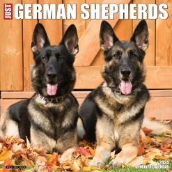 Just German Shepherds 2024 Wall Calendar