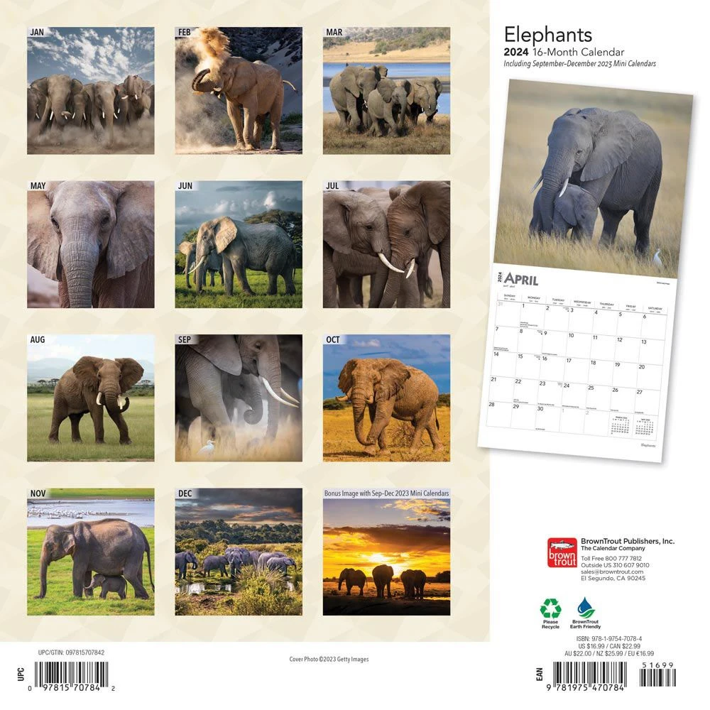 Elephants 2024 Wall Calendar 4 Elephants 2024 Wall Calendar - Image 2