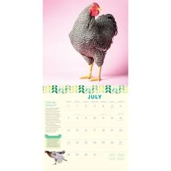How To Speak Chicken 2024 Wall Calendar -Calendars Sales Store 4cdc1a6f 90ee 4543 9393 2826beb19efb