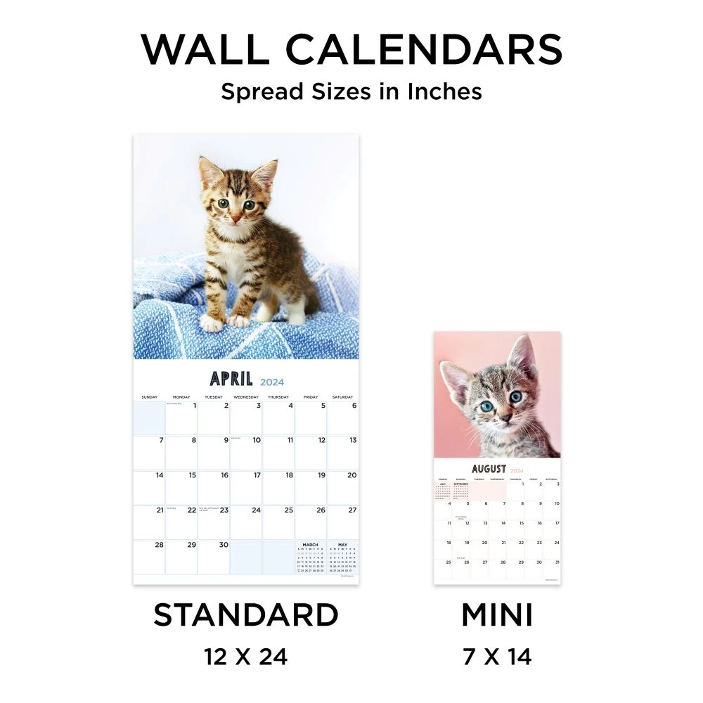 Kittens 2024 Wall Calendar 8 Kittens 2024 Wall Calendar - Image 6