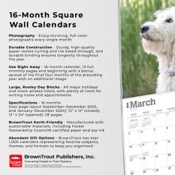 Labradoodles 2024 Wall Calendar -Calendars Sales Store 4d98bc78 8311 4aaa b6c3 4001e1b88d74