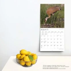Wisconsin Wild And Scenic 2024 Wall Calendar -Calendars Sales Store 4fe19009 4f7d 473e 94b6 2e3d4c9b16a4