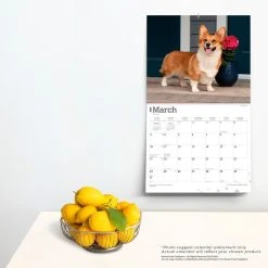 Welsh Corgis Deluxe 2024 Wall Calendar -Calendars Sales Store 518321d3 9805 4c64 bfea 0a865b5ceebe