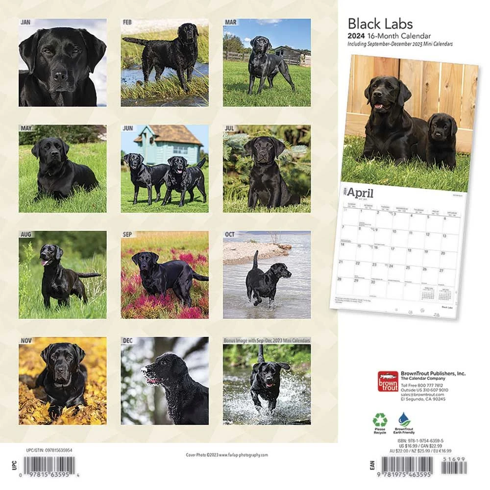 Black Lab Retriever 2024 Wall Calendar 4 Black Lab Retriever 2024 Wall Calendar - Image 2