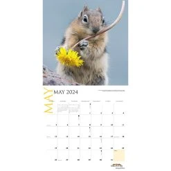Montana Wildlife 2024 Wall Calendar -Calendars Sales Store 535ee7fa a716 432c b23b 658262ca1be6