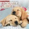 Adorable Puppies 2024 Wall Calendar -Calendars Sales Store 54e77366 9cc7 4398 8a16 64251b599433