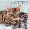 Cats And Kittens 2024 Wall Calendar -Calendars Sales Store 550396dc c8d9 4c4e 9c9d 635ade97b535