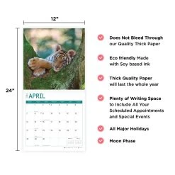 Baby Big Cats 2024 Wall Calendar -Calendars Sales Store 5511893f 60fd 4ee4 b24b e24f6a32f96d