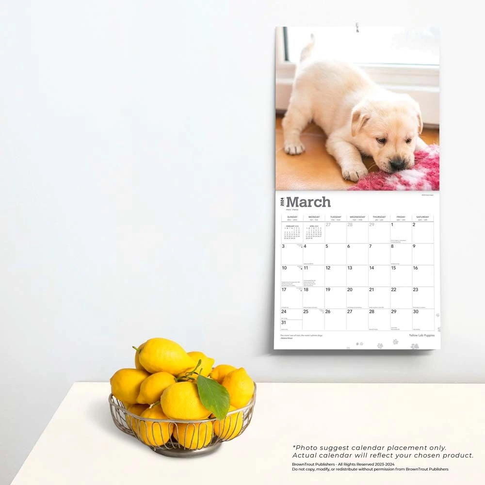 Yellow Lab Retriever Puppies 2024 Wall Calendar 6 Yellow Lab Retriever Puppies 2024 Wall Calendar - Image 4
