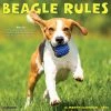Beagle Rules 2024 Wall Calendar 1 Beagle Rules 2024 Wall Calendar -Calendars Sales Store 565fab33 7ac4 42d0 b05d e70545edbf68