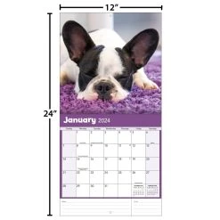 Bulldogs 2024 Wall Calendar -Calendars Sales Store 568a9a6e 7e68 48f1 8d3c e04501c56e64