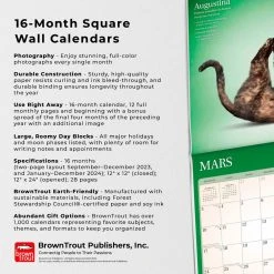 Yoga Cats 2024 French Wall Calendar 14 Yoga Cats 2024 French Wall Calendar -Calendars Sales Store 56b66f45 26a9 489a a0f0 943a8b10686b