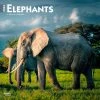 Elephants 2024 Wall Calendar -Calendars Sales Store 56c08505 8d71 4e73 b411 1be7e31dc348
