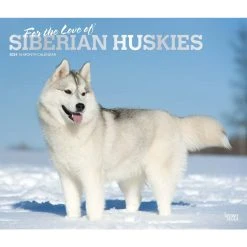 Siberian Huskies Deluxe 2024 Wall Calendar