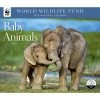 Baby Animals WWF 2024 Wall Calendar -Calendars Sales Store 581566ba 6696 4e3c aea7 ea1733d4c801