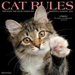 Cat Rules 2024 Wall Calendar
