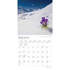 Alaska Wild And Scenic 2024 Wall Calendar -Calendars Sales Store 583c8a97 6c58 4659 a1bb 37870fdbff5b
