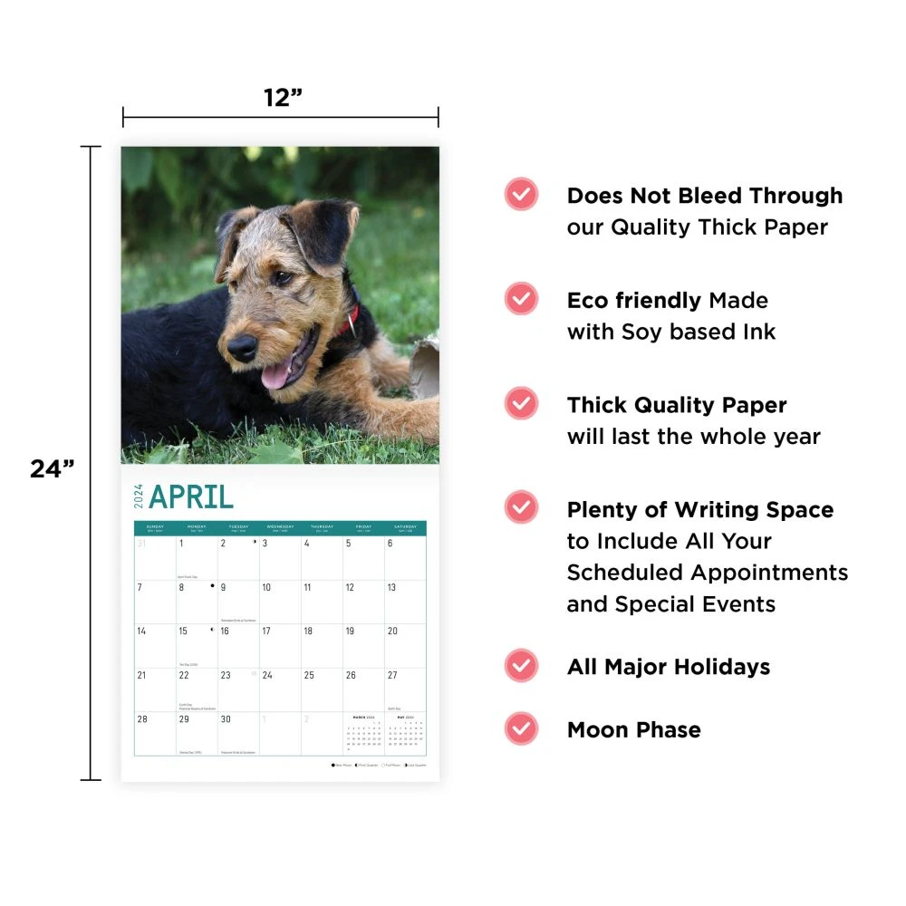 Airedale Terriers 2024 Wall Calendar 10 Airedale Terriers 2024 Wall Calendar - Image 8