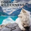 Dogs In The Wilderness 2024 Wall Calendar -Calendars Sales Store 59207b63 a6a2 4f79 a5b3 c9deb3618224