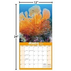 Coral Reef 2024 Wall Calendar -Calendars Sales Store 5965af4b 6058 4a12 a101 464e21870508