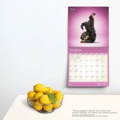 Yoga Puppies 2024 Wall Calendar -Calendars Sales Store 59a34f99 b33e 4092 a495 a4699c513c72
