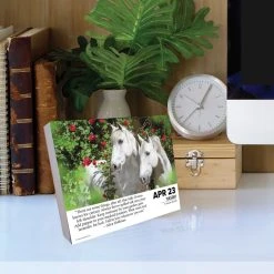 What Horses Teach Us 2024 Desk Calendar -Calendars Sales Store 59ab2dd6 7778 4dc3 b051 5fa6b06709b8