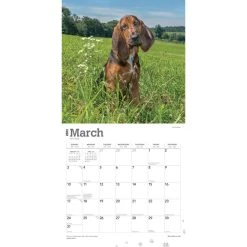 Bloodhounds 2024 Wall Calendar -Calendars Sales Store 59fced53 8be1 46cd 803e a748bd40b517