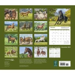 Horses Deluxe 2024 Wall Calendar -Calendars Sales Store 5a1885fb 385a 41a6 a887 835ca58ae8ff