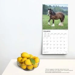 Clydesdales 2024 Wall Calendar 13 Clydesdales 2024 Wall Calendar -Calendars Sales Store 5a289417 4768 415e 846b 68c5302edff6