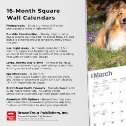Shetland Sheepdogs 2024 Wall Calendar -Calendars Sales Store 5b6ac74c 34a6 48dc 99f2 ea8bc421ff3f