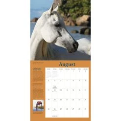 How To Think Like A Horse 2024 Wall Calendar -Calendars Sales Store 5b83b4bb f7b2 45cf a5c8 14069fb0d68d