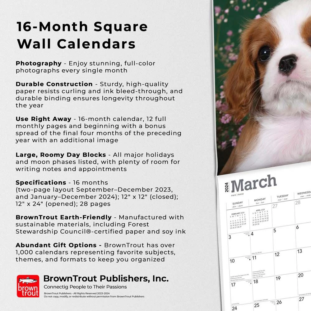 Cavalier King Charles Puppies 2024 Wall Calendar 7 Cavalier King Charles Puppies 2024 Wall Calendar - Image 5