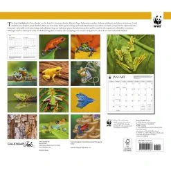 Frogs WWF 2024 Calendar -Calendars Sales Store 5bc84ab4 99a3 4bfe 94b8 ad12452aeb92