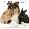 Puppies & Friends 2024 Wall Calendar -Calendars Sales Store 5c932950 91a7 4120 a1fa b79cfa4c5d68