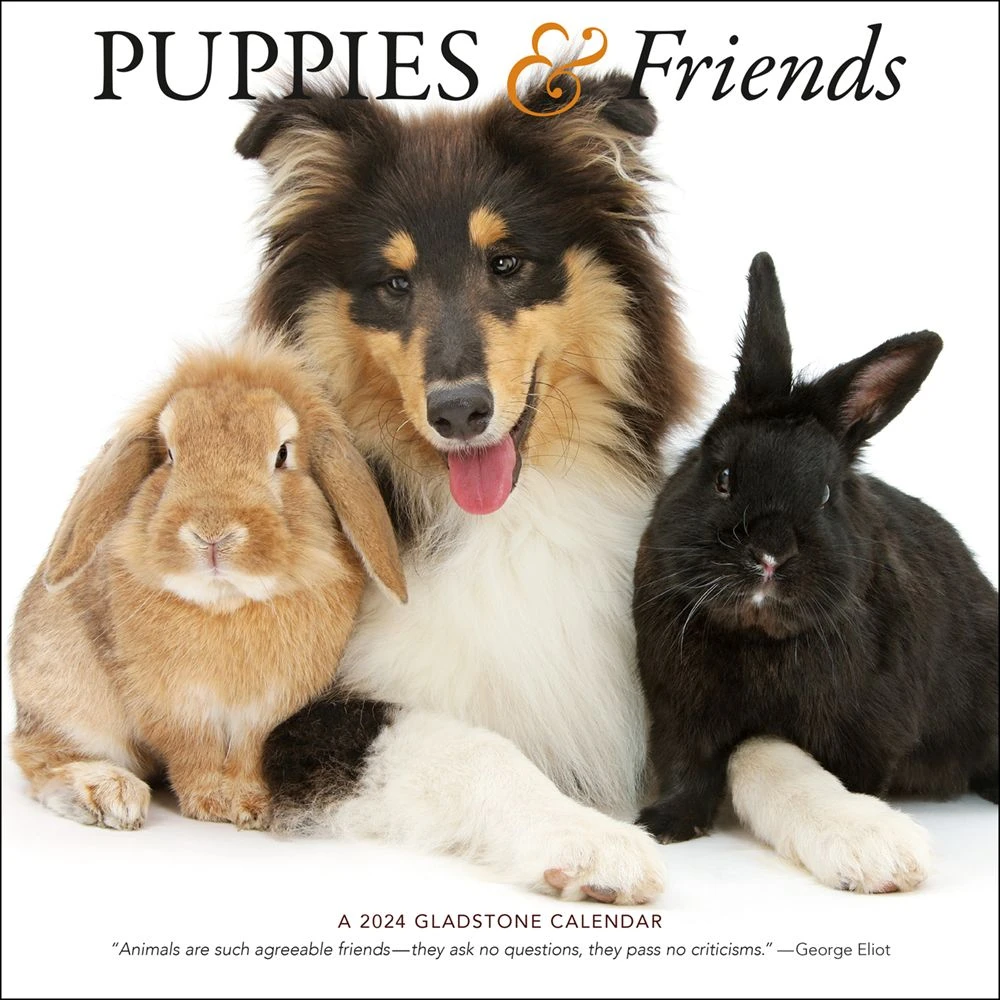 Puppies & Friends 2024 Wall Calendar 3 Puppies & Friends 2024 Wall Calendar