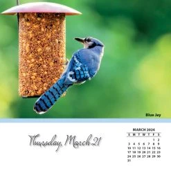 Songbirds 2024 Desk Calendar -Calendars Sales Store 5d4da790 0dc6 49b9 a8c4 370220257da3