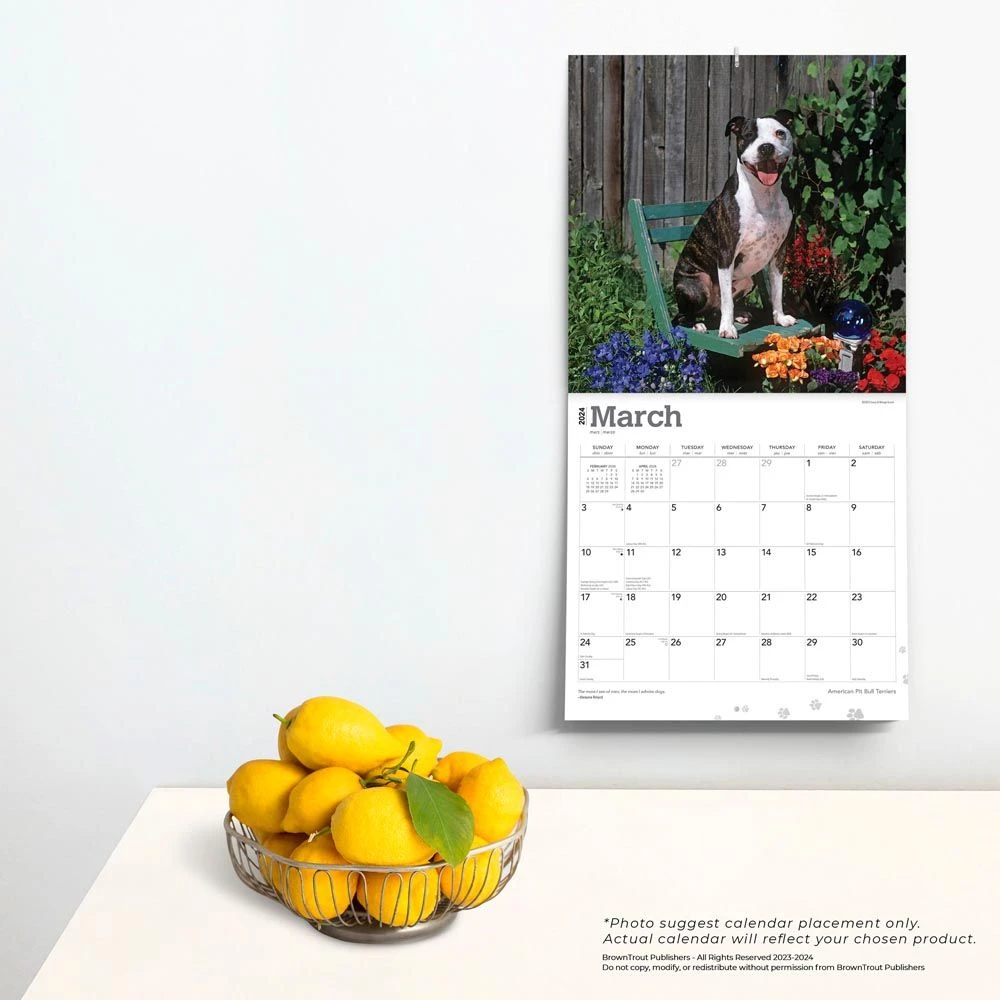Pit Bull Terriers 2024 Wall Calendar 6 Pit Bull Terriers 2024 Wall Calendar - Image 4