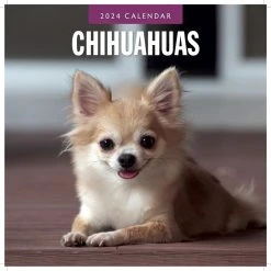 Chihuahuas 2024 Wall Calendar